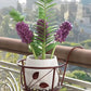 🌼Hot Sale - Hanging flower stand (✨Buy more and save more, free shipping for 5PCS✨)