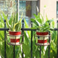 🌼Hot Sale - Hanging flower stand (✨Buy more and save more, free shipping for 5PCS✨)