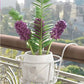 🌼Hot Sale - Hanging flower stand (✨Buy more and save more, free shipping for 5PCS✨)