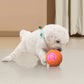 🐕60% OFF FLASH SALE! ✨Auto Bouncing Smart Pet Ball