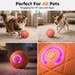 🐕60% OFF FLASH SALE! ✨Auto Bouncing Smart Pet Ball